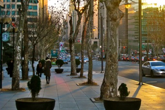 Main Street Seoul Korea