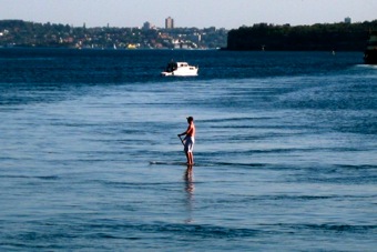 Sydney Commuter Surfs Home From Work