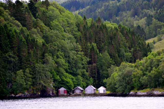 fjord 1