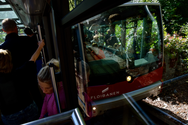 Floibanen train