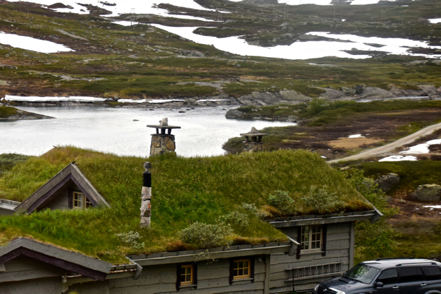Grass Roof