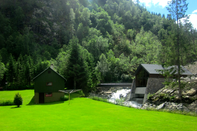 Green grass