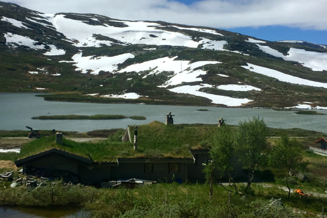 Norway Grass Roof
