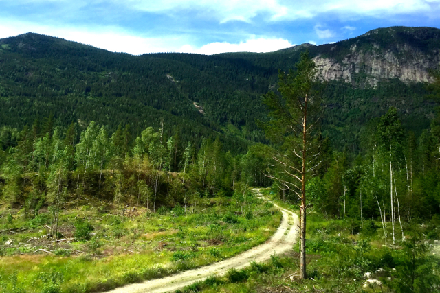 Norway rally road