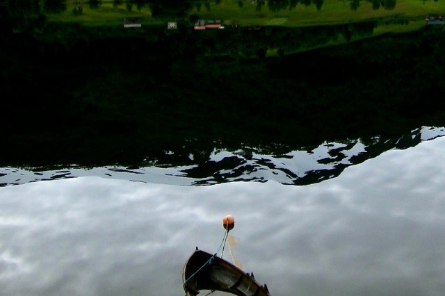Reflections