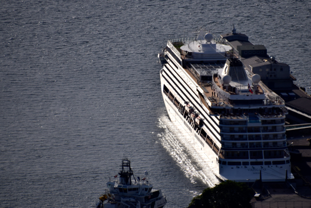 Viking Star 2