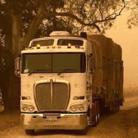 BUSHFIRE HAY