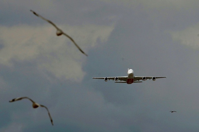 A380 approaching the Flemington race course