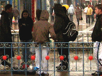 chavs