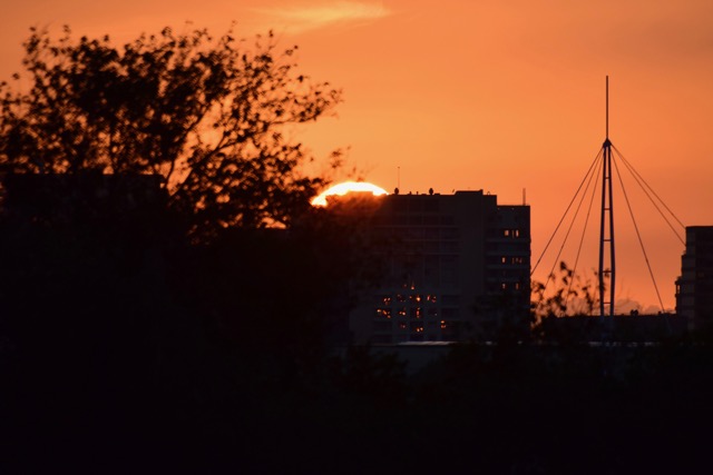 DSC_0100