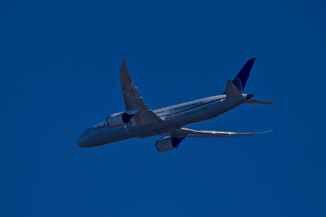 787wing