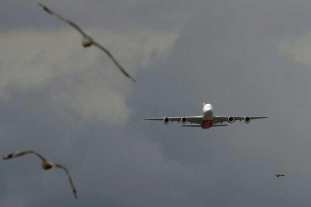 a380-flypast-birds.jpg