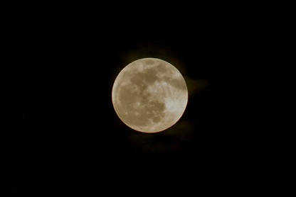 Blue Moon NYE