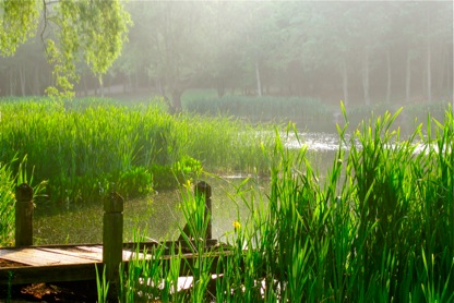 parisian-lake