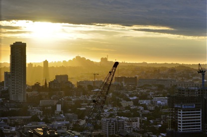 syd-sunrise-crane