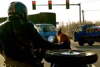 traffic-light-bliss
